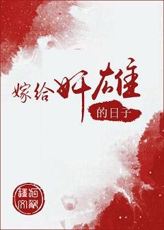 《嫁给奸雄的日子》