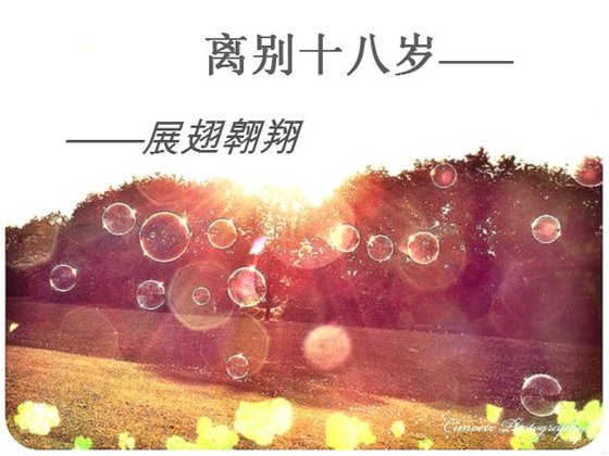 《离别十八岁——展翅翱翔》