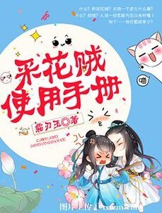 《采花贼使用手册》