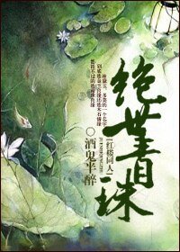 《(红楼同人)绝世青珠》