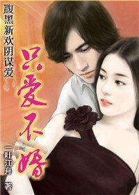 遭遇阴谋爱情：只爱不婚