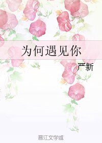 为何遇见你