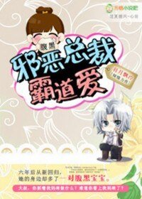 《腹黑宝宝:邪恶总裁霸道爱》