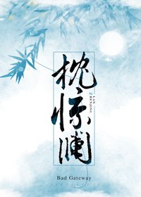 《枕惊澜》
