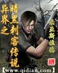《异界之暗黑刺客传说》