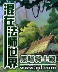 《混在法师世界》