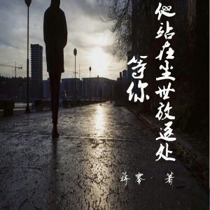 《他站在尘世放逐处等你》