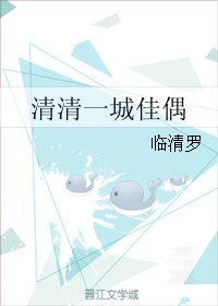 《清清一城佳偶》