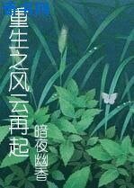 《重生之风云再起》
