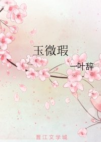 玉微瑕