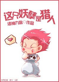 （猎人同人）这只妖孽是猎人