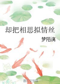 却把相思拟情丝
