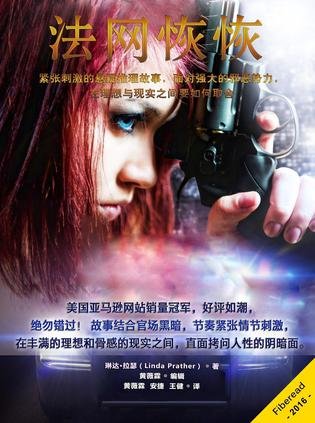 《法网恢恢(出书版)》