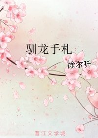 《驯龙手札》