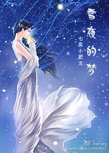 《雪夜的梦》