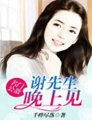 《名门公敌:谢先生,晚上见》