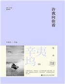 《许我向你看(精装)》