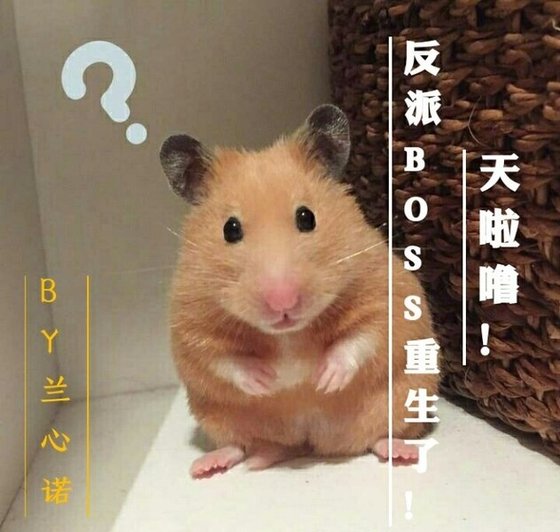 《(刺客列传同人)天啦噜!反派BOSS重生了!(仲孟同人)》