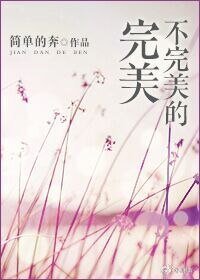 《不完美系列》