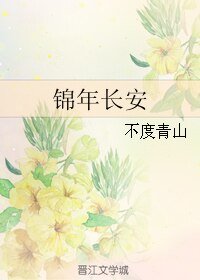 《锦年长安》