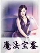 《魔法宝鉴》