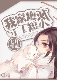 《我家炮灰丁丁短小》