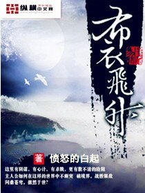 《布衣飞升》