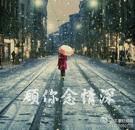 《顾你念情深》