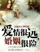 《爱情很远,婚姻很险》