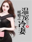 《暖婚之温宠冷妻》
