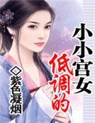 《低调的小小宫女》