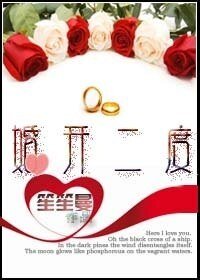 《婚开二度》
