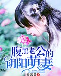 腹黑老公的阴阳萌妻