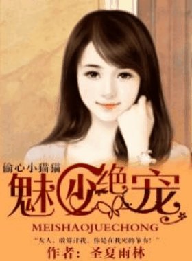 《魅少绝宠:偷心小猫猫/豪门少夫人:偷心小猫猫》