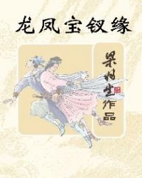 《龙凤宝钗缘(简体)》