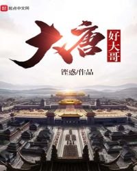 《大唐好大哥》