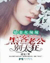 《娇妻火辣辣:黑客老公别太狂!》