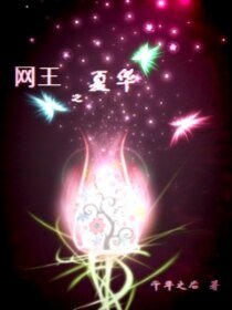 网王之夏华