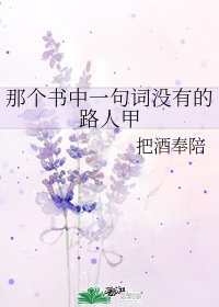 《那个书中一句词没有的路人甲》