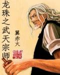《龙珠之武天宗师》
