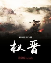 《权晋》