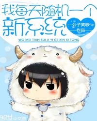《我每天随机一个新系统》