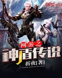 《网游之神盾传说》