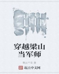 《穿越梁山当军师》
