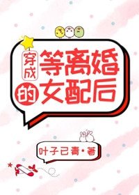 《穿成等离婚的女配后》