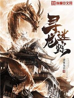 《寻龙迷踪》