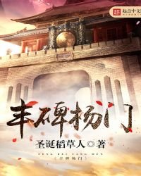 《丰碑杨门》