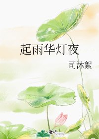 《起雨华灯夜》