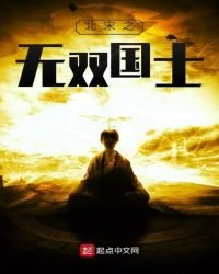 《北宋之无双国士》