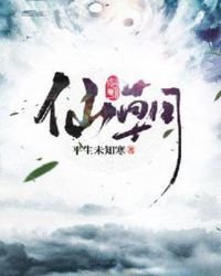 《仙朝》